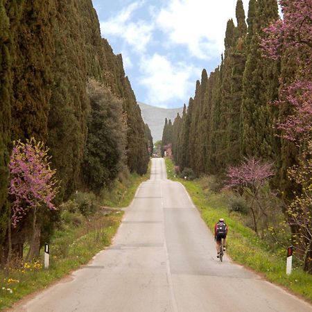 La Ripa Del Drago Villa Bibbona Buitenkant foto