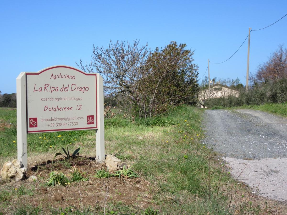 La Ripa Del Drago Villa Bibbona Buitenkant foto