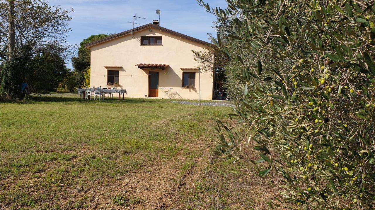 La Ripa Del Drago Villa Bibbona Buitenkant foto