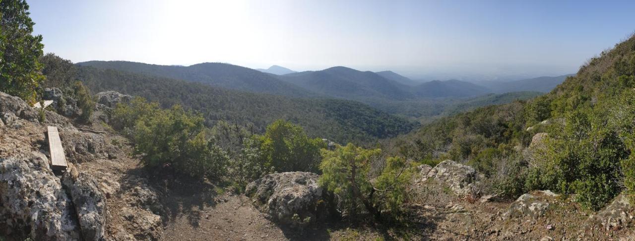 La Ripa Del Drago Villa Bibbona Buitenkant foto