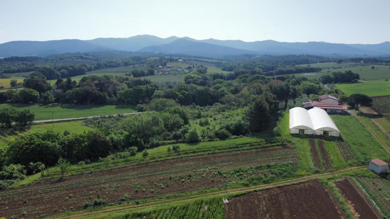 La Ripa Del Drago Villa Bibbona Buitenkant foto