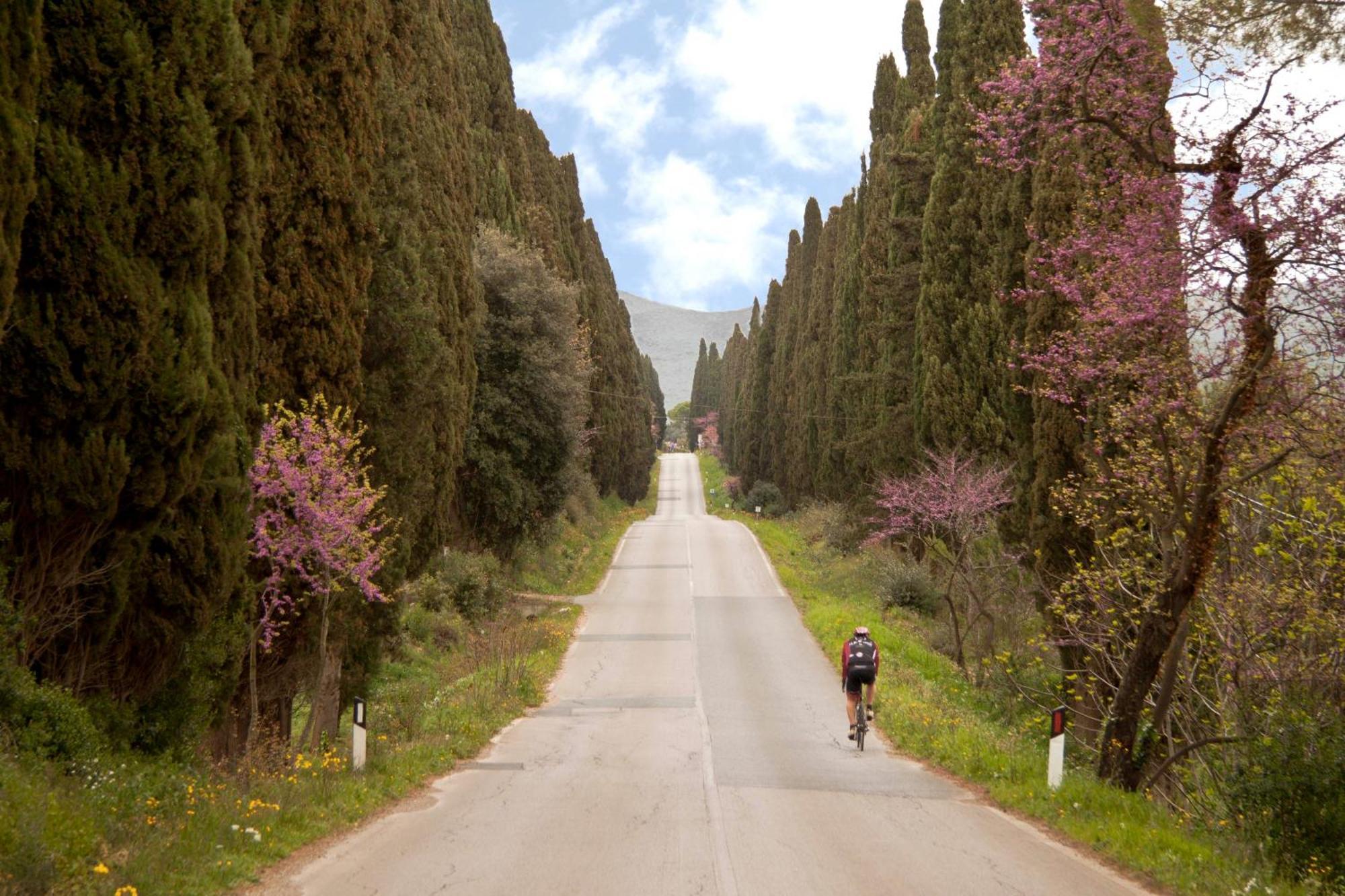 La Ripa Del Drago Villa Bibbona Buitenkant foto