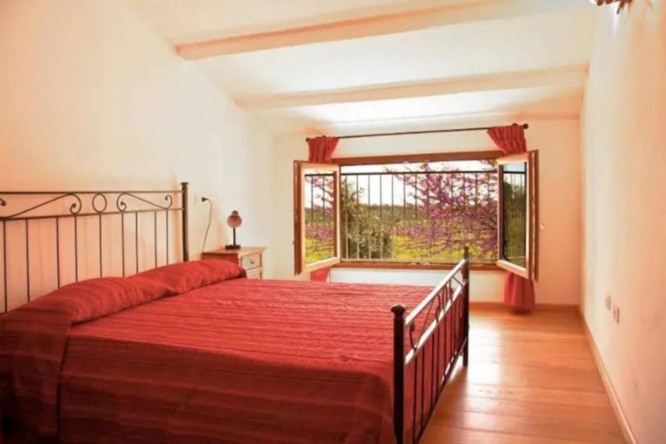 La Ripa Del Drago Villa Bibbona Buitenkant foto