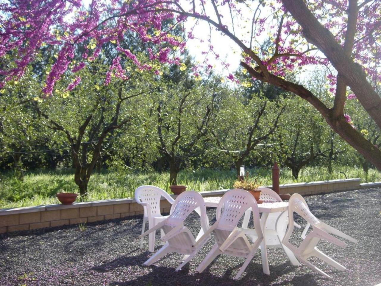 La Ripa Del Drago Villa Bibbona Buitenkant foto